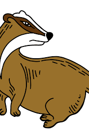 Badgers are a polyphyletic grouping. Mammals Coloring Pages