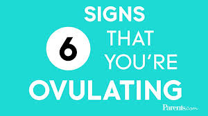 Signs Of Ovulation
