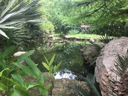 zilker botanical garden in austin tx