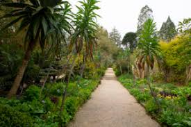 national botanic gardens kilmacurragh