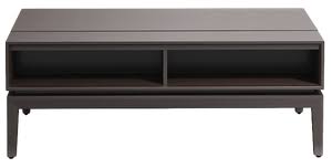 Anchor the living room with a modern coffee table. Huron Lift Top Coffee Table Decorist