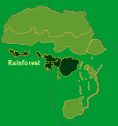 Tropical rainforest ecosystems have a range of distinctive characteristics. Africa Explore The Regions Rainforest
