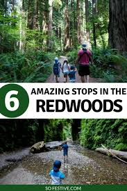 The most popular things to do in redwood national park with kids according to tripadvisor travelers are Redwood National Park With Kids 2 Day Itinerary So Festive