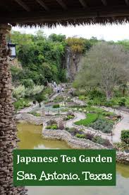 san antonio anese tea garden
