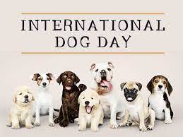 This special day regoznizes and acknowledges the import roles dogs play in our lives as they selflessly work each day. International Dog Day 2021 History And How To Celebrate This Day Boldsky Com