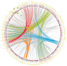 Genomic Data Circos Circular Genome Data Visualization