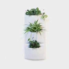 Indoor Vertical Planter White Wall