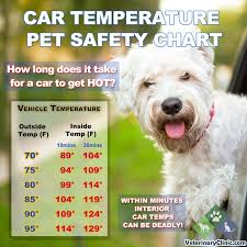 Car Temperature Pet Safety Chart Pdf Veterinaryclinic Com