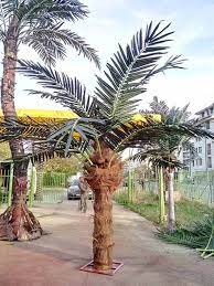 Long Life Outdoor Palm Tree Artificial