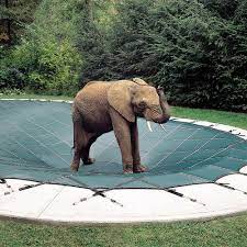 At first glance, it looks like you can walk on an automatic pool cover. 5 Best Pool Covers You Can Actually Walk On 2 Is Unbelievable The Rex Garden