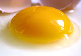 Influencing Egg Yolk Color