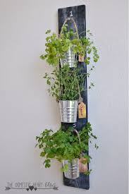 Herb Garden Ideas For Indoor Spaces