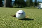 Arrowsmith Golf & Country Club (Qualicum Beach) - What to Know ...