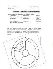 Cell cycle labeling worksheet answer key resultinfos from the cell cycle coloring worksheet , source: Kami Export Cell Cycle Coloring 1 1 Name Date Period The Cell Cycle Coloring Worksheet Label The Diagram Below With The Following Labels 1 Course Hero