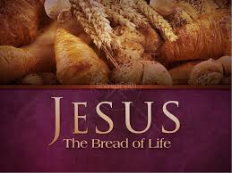 Image result for picture of living bread