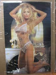 Brooke Miss December vintage Playboy Hot girl car garage man cave poster  15158 | eBay