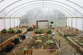 Raised Vegetable Garden Beds Inside