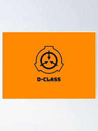 D Class