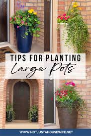 Tips For Planting Large Pots Stacy