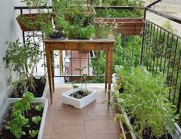 Create A Garden Oasis On Your Balcony