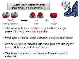 Ppt Elephant Toothpaste Physical Or