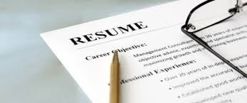 Does Professional Resume Writing Help Resume Writing Service Professional  Resume Writers Free Resume Example And Writing Download