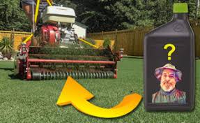 Lawn care how to maintenance gardening watering. Home Repair Diy