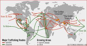 Image result for narco traffickers