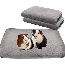 anti slip guinea pig bed washable