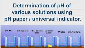 Determination Of Ph Of Various Solutions Using Ph Paper Universal Indicator 10th Science Lab