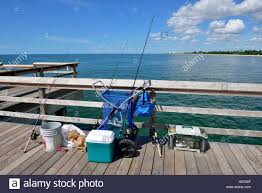 Discover the best camping spots near beaches for you! Ajf Sea Fishing Tackle Near Me Nalan Com Sg