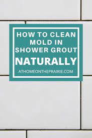 how to clean mold in shower grout naturally