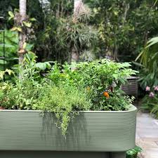 Nest Self Watering Elevated Planter