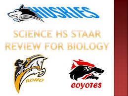 Staar is an acronym for the state of texas assessments of academic readiness. Ppt Science Hs Staar Review For Biology Powerpoint Presentation Free Download Id 2509459