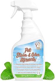 sunny honey pet stain odor miracle