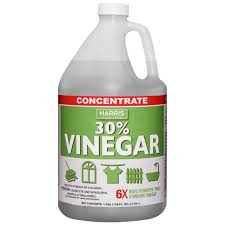 vinegar all purpose cleaner concentrate