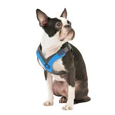 Gooby Trekking Harness Ruff Life Pet Outfitters