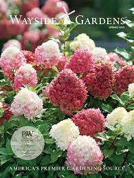 41 free seed catalogs and plant catalogs
