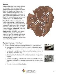 You can also find numerous dinosaur and fossil clip. Fossil Worksheets Elementary Printable Worksheets And Activities For Teachers Parents Tutors And Homeschool Families