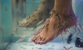 fish spa experience foot detox garra