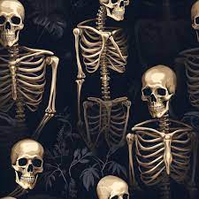 skeleton wallpaper images free