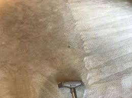walled lake carpet cleaning serviced