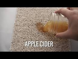 how to remove apple cider stain stain