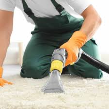 the best 10 carpet cleaning in goshen