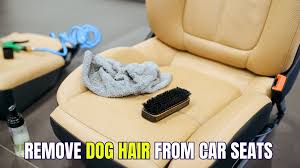 How To Remove Dog Hair From Car Seats