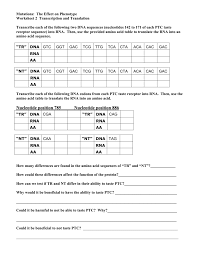 The character of transcription and translation worksheet answers in education. Ptc Worksheet 2 Transcription And Translation