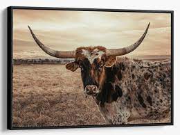 Cow Decor Texas Longhorn Canvas Print
