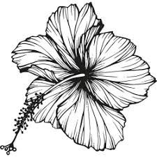 Hibiscus tattoo by tashitam on deviantart. Vorlagen Fur Tattoos Mit Blumen Z B Lilie Oder Orchidee