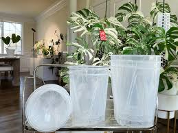 Clear Plastic Pots Orchid Pots