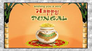 happy pongal 2024 images es